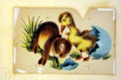 golden_egg_book_chick