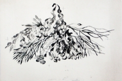 little_island_vignette