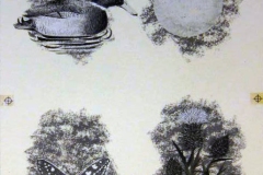 nibble_nibble_duck_butterfly_apple_flower