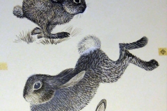 nibble_nibble_rabbits