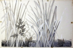 nibble_nibble_tall_grass