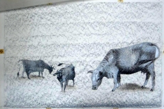 where_does_butterfly_go