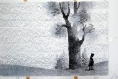 where_does_butterfly_rain